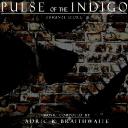Pulse of the Indigo Is Wrapping Up
