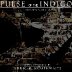 Pulse of the Indigo Is Wrapping Up