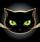 new logo 
