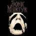 Sonic Martyr