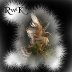 MIX Radio - Center Stage Presentation with RwK Rebroadcast