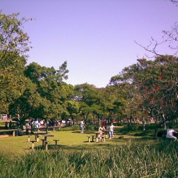 ibirapuera_1.jpg