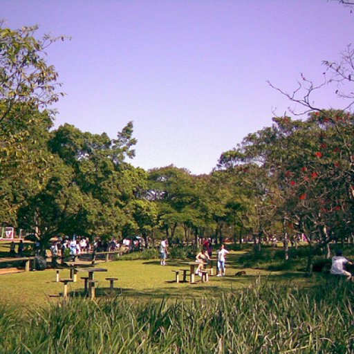 ibirapuera_1