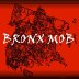 bronx2_1