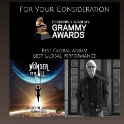 FYI Grammy.jpg