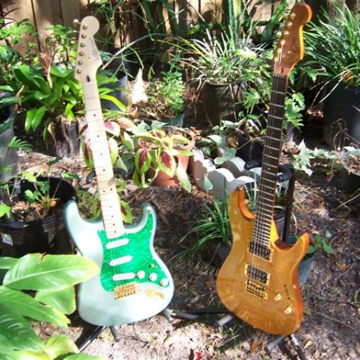 MY GUITARS 017