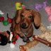 Bitsy_XMas_06002_forweb