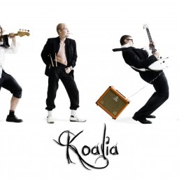 koalia.jpg