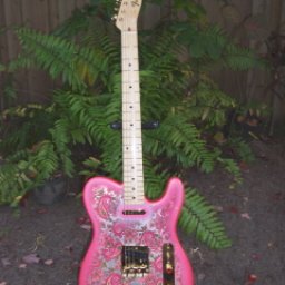 TELE.jpg
