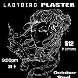 Loaded-Ladybird-Plaster-ChopSuey10.jpg