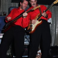 ECT09132008_PICKLEDPARROT085