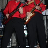 ECT09132008_PICKLEDPARROT097