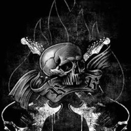 SkullGuitar[1].jpg