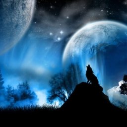 Full_Moon__Wolf_by_Jiinx_Magic_1_.jpg