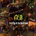 ASP-First-Gig