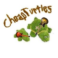 CheapTurtles sample2