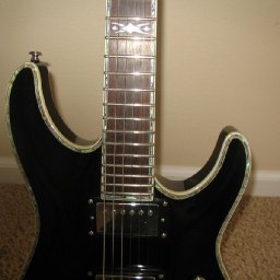 Schecter2.JPG