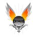 ENTHEOS-FIRE-BIKEr-LOGO-ANGELS-AND-FLAMES-600