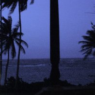 IMGP0534