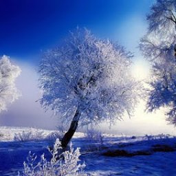 morning-winter-high-quality-wallpaper455.jpg