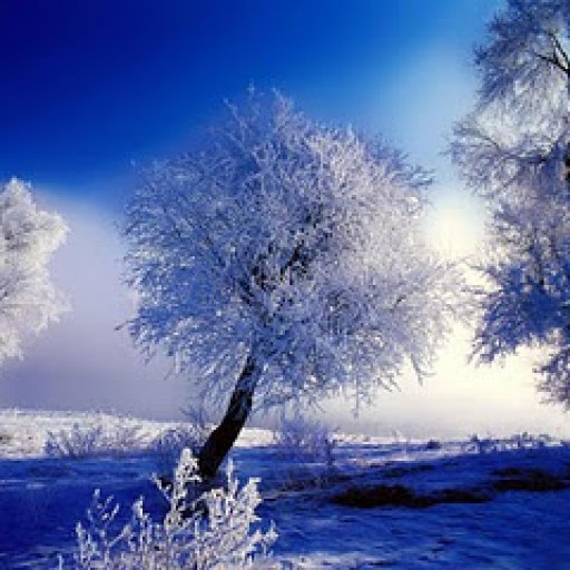 morning-winter-high-quality-wallpaper455