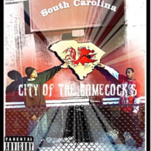 City Of The Gamecocks