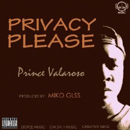 Privacy Please OFFICIAL COVER.jpg