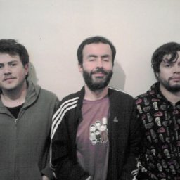 flores de bach grupo.jpg