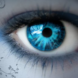 blue_eye_by_kaffeetasse86.jpg