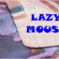 LM2