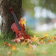 Music of Auumn