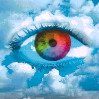eye