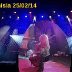 imageedit_5_4682001382