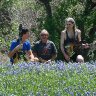 TomzapinBluebonnets