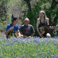 TomzapinBluebonnets