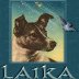 laika2