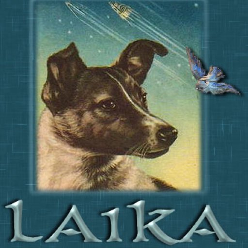 laika2