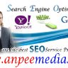 search engine optimization services