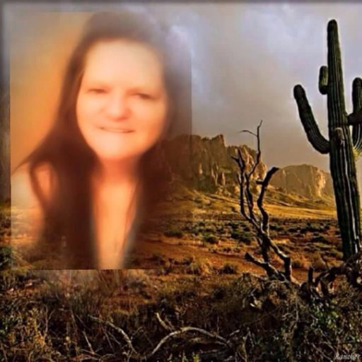 me_liz edit desert