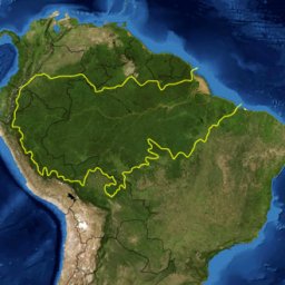 Amazon_rainforest.jpg