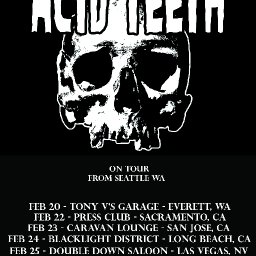 Acid Teeth February Tour Dates.jpg