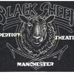 black-sheep-black.JPG.jpg