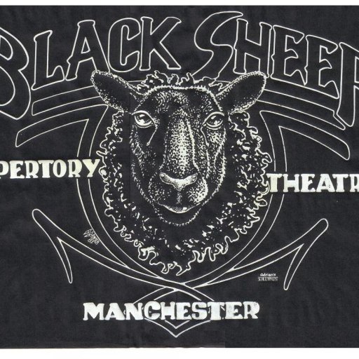 black-sheep-black