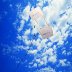Boxkite in the sky