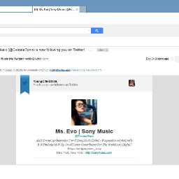 Ms Evo            Sony Music.jpg