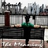 The Meaning Single Cover  (2017)
