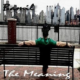 The Meaning Cover.jpg