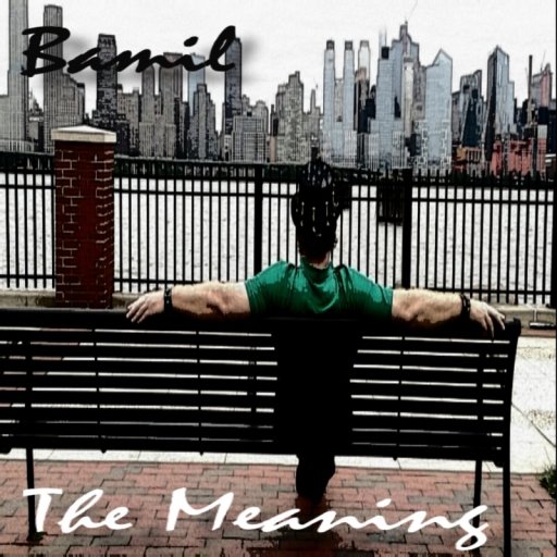The Meaning Single Cover  (2017)