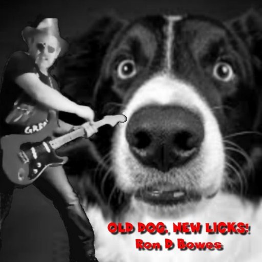 Old Dog cover