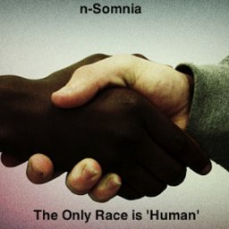 20 - The Only Race is 'Human'.jpg